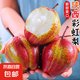 陜西彩虹梨紅酥梨酥脆爽口當(dāng)季水果新鮮現(xiàn)摘 產(chǎn)地直發(fā)淘萬 單果120g+ 凈重3斤