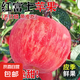 紅富士蘋果棲霞紅富士新鮮水果脆甜多汁級蘋果禮盒生鮮館水果生鮮 凈重8.5斤80mm-85mm