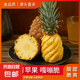 【海南直發(fā)】正宗海南金鉆鳳梨新鮮水果當(dāng)季樹上熟芒果鳳梨10斤 1粒裝單果400-650g