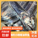舟山寧波小眼帶魚特大東海整條鮮活冷凍新鮮正宗野生海釣油帶刀魚 海釣帶魚（500-700g/條）2500g無(wú)冰