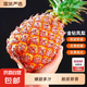 海南金鉆鳳梨削皮即食無眼大果 新鮮水果生鮮 酸甜可口 【小果嘗鮮】1粒裝 單果400-650g 酸甜可口