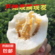 東北大地白糖罐香瓜香甜瓜新鮮水果農(nóng)家當(dāng)季現(xiàn)摘現(xiàn)發(fā)小脆甜瓜整箱 凈含量 4個【3斤左右】