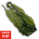 福建霞浦深海小海帶新鮮特厚昆布無沙高泡發(fā)火鍋炒菜商用批發(fā) 深海小海帶1包500g