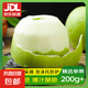 安徽碭山梨新鮮水果酥梨青皮應(yīng)季蘇翠1號(hào)現(xiàn)摘現(xiàn)發(fā) 家庭裝9斤（超值囤貨）