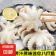海鮮八爪魚小章魚鮮活速凍八爪魚章魚爆頭火鍋食材新鮮八爪魚 迷你八爪魚 700g(凈重)  兩斤
