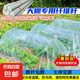 新型小拱棚支架實心玻璃纖維桿棒大棚塑料養(yǎng)殖骨架農(nóng)家用菜棚支架 4毫米粗2米長 跨度1.1-1.4米 50根 【農(nóng)用實心拱棚桿】
