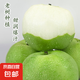 河北青皮蜜梨 酥脆多汁 新鮮采摘 產(chǎn)地直發(fā) 整箱包郵 凈重5斤 單果200g+