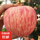 山東煙臺紅富士蘋果 脆甜冰糖心 新鮮整箱送禮 精選5斤裝 凈重4.5斤