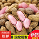應(yīng)季新鮮沙地帶殼鮮花生農(nóng)家自種現(xiàn)挖現(xiàn)發(fā)蔬菜批發(fā)京東包郵 帶箱 帶殼花生9斤