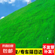 護(hù)坡固土草籽耐寒耐旱邊坡綠化草坪草籽免修剪黑麥草高羊茅籽 護(hù)坡四季青10斤【快速復(fù)綠】