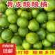 酸甜云南新鮮青橘孕婦青皮當(dāng)季無籽橘子桔子薄皮水果多汁一整箱 帶箱2斤50-60mm