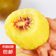 紅心獼猴桃 奇異果 新鮮水果生鮮水果 12個(gè)單果70-90克