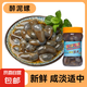 京喜加泥螺醉泥螺即食生腌寧波特產大號無沙腌制海鮮舟山特產黃泥螺 【小號】醉泥螺 280g 玻璃瓶