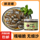 京喜加泥螺醉泥螺即食生腌寧波特產(chǎn)大號無沙腌制海鮮舟山特產(chǎn)黃泥螺 【大號】醉泥螺5 500g 易拉罐
