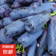 【現(xiàn)摘現(xiàn)發(fā)】無籽藍寶石葡萄新鮮當(dāng)季無核金手指黑提葡萄時令水果 帶箱3斤裝（凈果2.7--2.9）