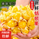 【精選大果】東北特產(chǎn)姑娘果菇娘果燈籠果新鮮水果精品商超品質(zhì) 【商超品質(zhì)】特大果 凈重2斤裝