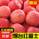 山東煙臺紅富士蘋果脆甜可口薄皮蘋果應(yīng)季水果新鮮-山源 帶箱5斤（80mm+)