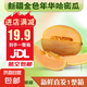正宗新疆特產(chǎn)哈密瓜金色年華新鮮當(dāng)季水果香甜多汁京配航空包郵 金色年華凈重4-5斤