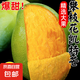 正宗凱特芒攀枝花新鮮采摘新鮮水果 帶箱2斤 超大果【單果200-300g】