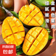 凱特芒新鮮現摘熱帶芒果 3斤帶箱300g+