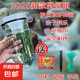 新款抓小魚神器捕魚器兒童戶外釣魚工具倒須瓶池塘淺水庫(kù)捕魚神器 新款兒童捕魚器【大號(hào)】送繩+餌