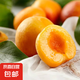 新疆吊干杏 核心產(chǎn)區(qū) 中小果 小紅杏 新鮮水果包郵爆甜現(xiàn)摘 吊干杏2斤裝