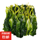 福建霞浦鹽漬海帶苗新鮮特厚昆布無沙高泡發(fā)低鹽火鍋炒菜商用批發(fā) 鹽漬海帶苗2包1000g