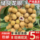 儲(chǔ)良龍眼老樹大果桂圓當(dāng)季生鮮新鮮水果肉厚核小源頭直發(fā)禮盒裝 【凈重2.5斤】?jī)?chǔ)良龍眼