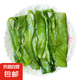 鹽漬裙帶菜新鮮特厚無(wú)沙低鹽火鍋炒菜商用批發(fā) 海白菜1包500g