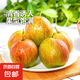 陜西玉露香梨當季新鮮香梨酥脆可口產(chǎn)地直發(fā)單果150g+華北強 帶箱9斤【凈重8.5斤】