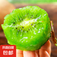 綠心獼猴桃華美 奇異果 彌猴桃 時令生鮮新鮮生鮮水果 24個單果50-70克