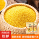 山西黃小米 油小米 月子米黃米粟米雜糧山西特產(chǎn)當季新米 黃小米500g*2袋