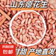 當(dāng)季新貨癟花生養(yǎng)胃生花生米小粒農(nóng)家山東花生仁生吃甘甜零食 當(dāng)季癟花生米（生米） 3斤
