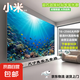 小米狐貍【補貼】超畫質(zhì)8K電視機液晶家用智能網(wǎng)絡(luò)wifi語音平板電視巨幕屏客廳監(jiān)控會議投屏顯示器 50英寸 頂配4K超高清128G 網(wǎng)絡(luò)版