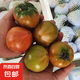鐵皮柿子現(xiàn)摘露天鹽堿地草莓番茄草莓水果西紅柿包郵 草莓西紅柿子5斤