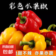山東雙色水果彩椒圓椒產(chǎn)地直發(fā) 紅黃雙色水果五彩椒【凈重2斤】