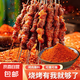 燒烤調(diào)料撒料全套孜然粉燒烤粉秘制燒烤料椒鹽烤肉蘸料腌料調(diào)味料 燒烤料250g*2包 五香