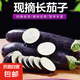 壽光農(nóng)家紫茄子紫茄新鮮現(xiàn)摘生鮮超市蔬菜燒烤搭檔 二斤綠把茄子 2斤