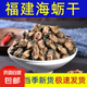 生曬牡蠣干生蠔干貨海蠣子蠔豉無沙干海鮮產(chǎn)品干貨非特級特大批發(fā) 0.5斤（200-250頭/斤）