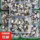 鮮活生蠔現(xiàn)剝生蠔肉新鮮牡蠣肉去殼純蠔仔肉海鮮水產(chǎn)京東包郵 1斤裝海蠣肉（100-120頭/斤）