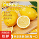正宗廣東香水黃檸檬酸爽多汁黃檸檬當(dāng)季薄皮多汁新鮮奶茶專用水果 檸檬帶箱2斤單果50g+