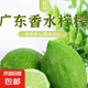廣東香水檸檬新鮮檸檬茶生鮮鮮檸奶茶店專(zhuān)用檸檬水果箱裝包郵 單果80g+ 9斤