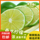 正宗云南香水檸檬新鮮無籽一級果現(xiàn)摘現(xiàn)發(fā)手打檸檬奶茶店專用青檸 2斤