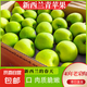 上海發(fā)貨新西蘭進(jìn)口青蘋果酸甜脆口肉嫩青蛇果孕媽新鮮水果當(dāng)季 實惠中果（單果150-170g） 【劃算】12顆