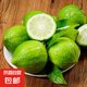 【果園現(xiàn)發(fā)】廣東香水檸檬新鮮一級果應(yīng)水果無籽青檸檬奶茶店專用 大小隨機(jī)發(fā)【老果偏黃】 3斤