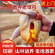 【自營】生鮮老母雞土雞笨雞走地柴雞農(nóng)家散養(yǎng)冷凍2年以上整雞 1500g*2只裝 老母雞