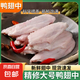 【自營】生鮮冷凍鴨翅中 生鴨翅鴨中翅 中段鴨翅膀鹵味鴨貨食材 4斤 鴨翅中
