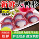 【自營(yíng)】新鮮鴨胗冷凍鴨肫散養(yǎng)大號(hào)鴨胗鴨胃鹵味食材鴨胗鴨郡 4斤 鴨胗//鴨肫