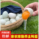珂邇正宗現(xiàn)撿笨鴨蛋土鴨蛋新鮮鴨蛋農(nóng)家散養(yǎng)青殼鴨蛋生鴨蛋野生鴨 70-80g 10枚