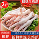 【自營(yíng)】雞爪新鮮帶骨長(zhǎng)柄雞爪大號(hào)泡椒鳳爪燒烤鹵味冷凍新鮮商用 4斤 長(zhǎng)雞爪